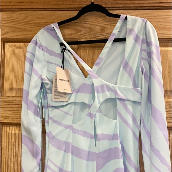 Roberto Cavalli Dress - Picture 3 of 9